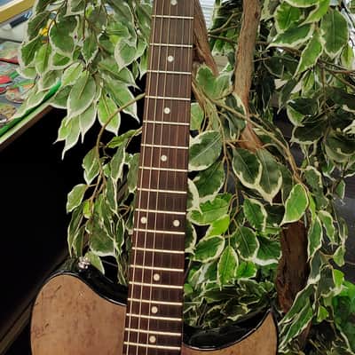 Washburn WI16 G15 Electric Guitar 2004 - Antique Brown with Art Work image 4