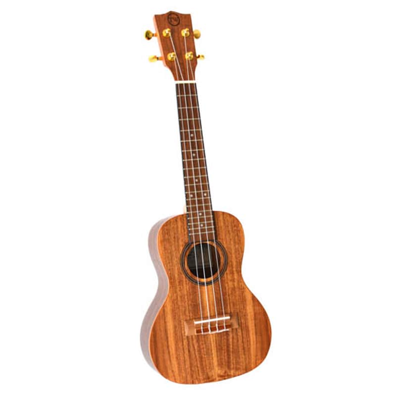 Twisted Wood Aurora Tenor Ukulele AR-800T w/Bag image 1