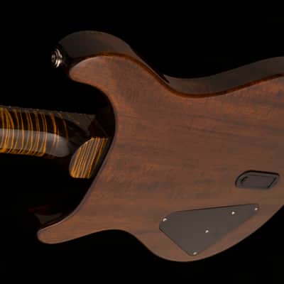 PRS John Mayer  "Super Eagle" Prototype Auction To Benefit Johns Hopkins Kimmel Cancer Center image 5
