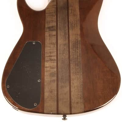 Agile 10 String Electric Guitar w/ Kahler Tremolo Interceptor Pro 1030 EB CP Black Flame image 3