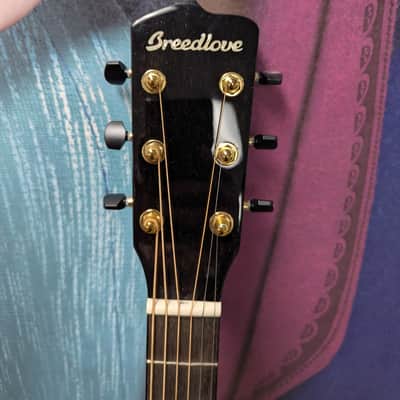Breedlove Artists CE burnt amber acoustic electric guitar 2025 image 4
