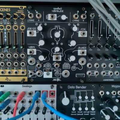 Immagine Make Noise Morphagene Module 2008 - Present - Black - 1