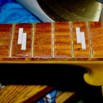 Sherwood Archtop Acoustic Guitar Husk Circa 1950 image 10