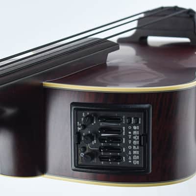 Takamine TB10 Recent image 10