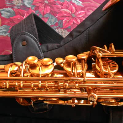 TaiShan Winds Model 7000 Professional Tenor Saxophone Gold-Lacquered Brass image 14