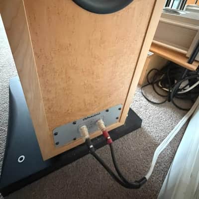 Dynaudio Evidence Master.  Awesome SOTA Flagship model image 7