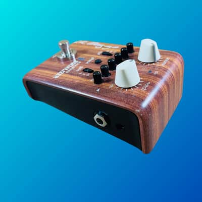 LR Baggs Align Equalizer Bild 3