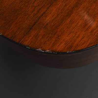 Washburn D-10 '98 image 6