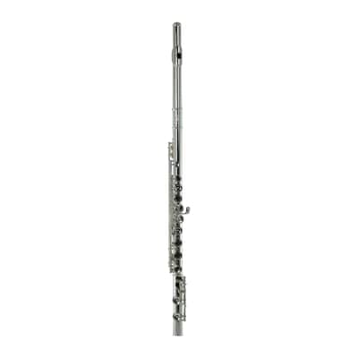John Packer JP211 Key of C Flute (Without E-mechanism) w/Leatherette Hard Case, Cleaning Rod & Cloth image 1