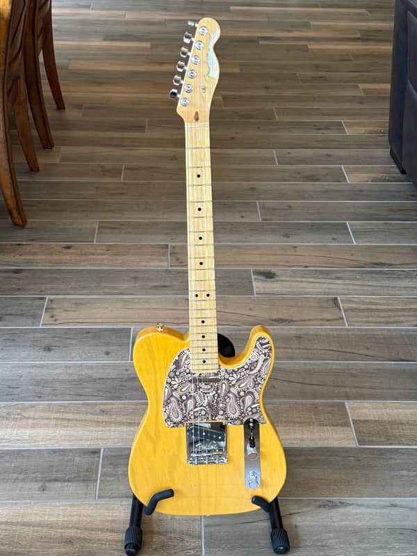 Fender American Professional Telecaster image 1