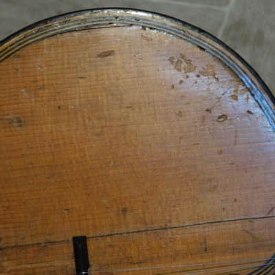 RARITÄT alte Brac Balkan Zupfinstrument BISERNICA Tamburica Tambura antik string J. Stjepusin SISAK image 17