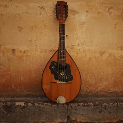 Amada Bowl Back Vintage Mandolin |  1950 image 5