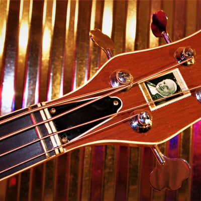DEFIL MAMBO Bass 1968 Vintage Acoustic Electric like Hofner. By the Artist El Daga. One of a kind. image 24