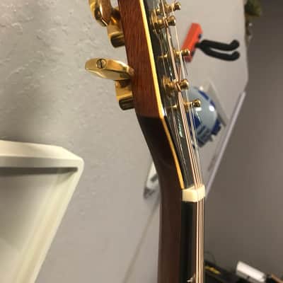 Bozo  Bell western cutaway  1981 image 18