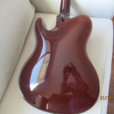 Tim Bram Tribute thinline archtop custom built image 14