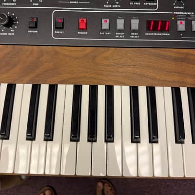 Immagine Sequential Prophet-5 61-Key 5-Voice Polyphonic Synthesizer 2020 - Present - Black with Wood Sides - 4