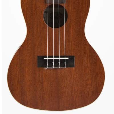 KALA KA C Concert Ukulele inkl. Gigbag satin mahogany image 3