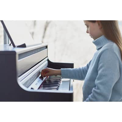 HP702-CH Roland image 9