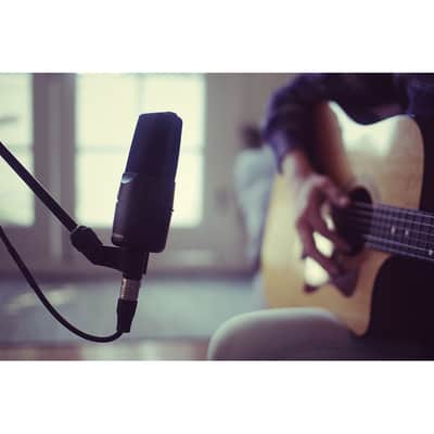 sE Electronics X1A Large-Diaphragm Condenser Microphone with 100Hz Highpass Filter image 5