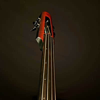 NS Design NXT4 Double Bass image 9