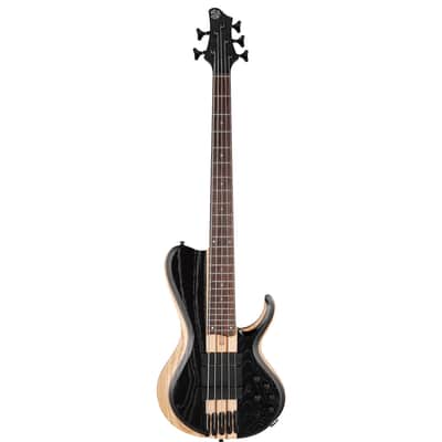 Ibanez BTB865SC Bass Workshop | Reverb