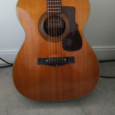Ventura Bruno V-12 Acoustic Guitar Vintage - Made in Japan (See Video) image 23