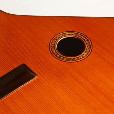 The Biggest Classical Guitar We've Ever Seen | Corujo's Gran Guitar by Raimundo & Aparicio - Check Video! image 14