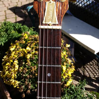 Ibanez MC200, 1978, Jerry Garcia Modifications image 5