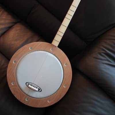 Smokey Mountain Banjo Dulcimer/ Strum Stick image 1