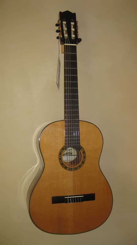 Giannini GWNEW 3 Exotic Series All Solid Wood Classical Guitar w/Hardshell Case image 1