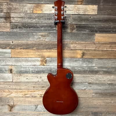 Parkwood Hollow Body or Semi Hollow Body Electric Guitar image 8