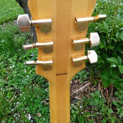 Korean (Samick) Made Epiphone Joe Pass Emperor II w/Hard Case and Amazing Pro Set Up! image 10