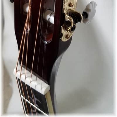 Dillion DF-900 ES Folk Size Acoustic Guitar Natural w/Case image 9