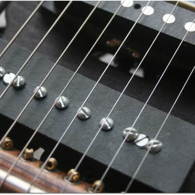HARMOS "Americana 8-String Carbon-Fiber Space-Age Lap Steel Guitar" GIGBAG image 2