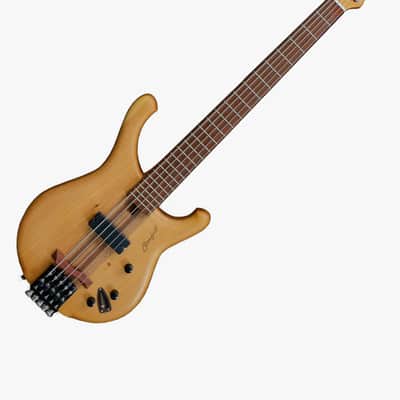 Stonefield Music C SERIES - FIVE - STRING BASS 2019 image 3
