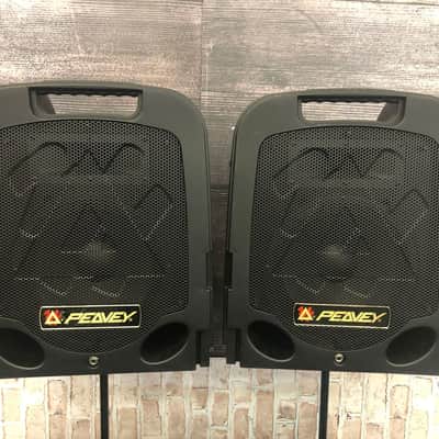 Peavey Escort 2000 PA System (Sarasota, FL) image 3