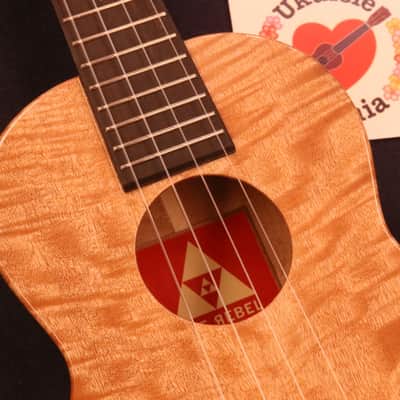 Rebel Curly Mango Gloss Tenor with Ebony Fretboard & Bridge #5151 image 17