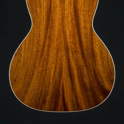 Bourgeois L-DBO Aged Tone Adirondack Spruce and Sinker Mahogany NEW image 5
