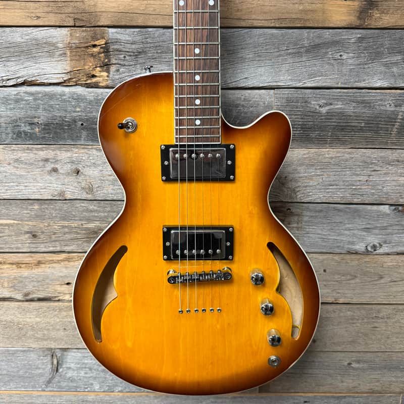 Parkwood Hollow Body or Semi Hollow Body Electric Guitar image 1