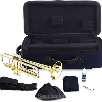 Bach 190M37X Stradivarius Professional Bb Trumpet - Clear Lacquer (BA190M37Xd1) image 3