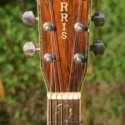 1970s Morris W100D B. Rosewood Jacaranda Body, Tree of Life, Solid Spruce Top, Pick up +Hard Case image 5
