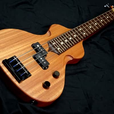 Rukavina Bass Lapsteel Guitar - 30" Scale image 1