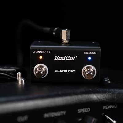 Bad Cat Mod Shop Black Cat 1x12 30W 2-Channel Tube Combo Amp image 5