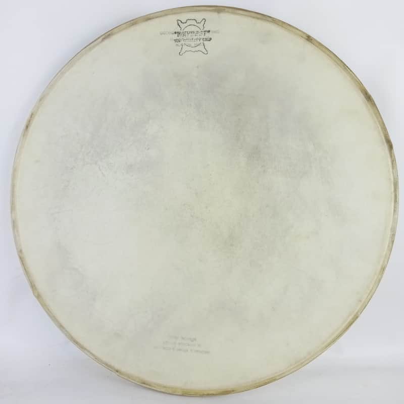 George Stone 14" Calf Skin Snare Drum Batter Head Leedy Waybest Way Vintage1900s image 1