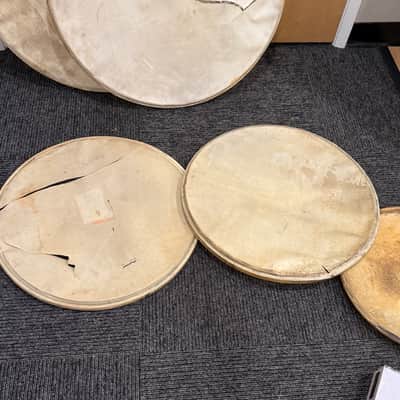 Grouping of Vintage Slingerland Calfskin Heads Pairs of 16", 22", 28" (Rm3) image 5