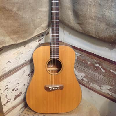 Tacoma DM9 Dreadnought Acoustic Guitar image 2