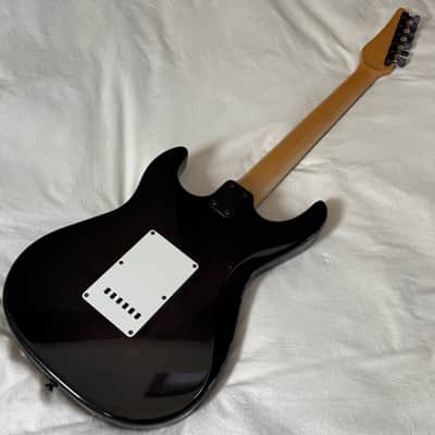 Carvin Bolt SSS Tremolo - Custom Shop Strat Killer - Made in USA - Translucent Black - Free Pro Setup - Stainless Steel Frets image 13