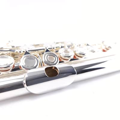 Samperi Spectrum 14k GOLD Riser Intermediate Flute B Ft by Haynes Amadeus Makers image 3