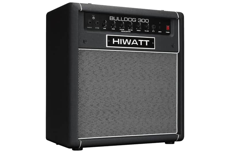 Hiwatt Bulldog 300 Combo | 12" 300W Bass Combo. New with Full Warranty! image 1