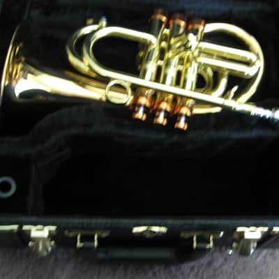 Carol Brass PHAT PUPPY FLUGELHORN 2024 - LACQUER image 3